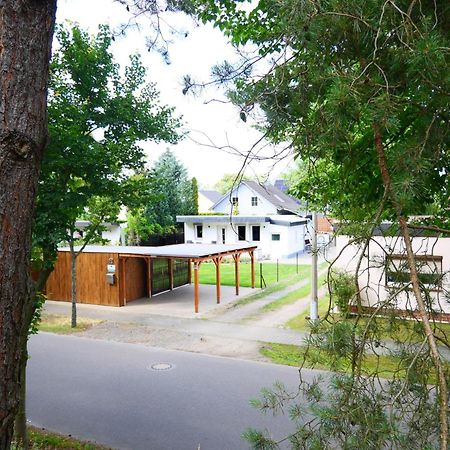 Haus Kleiner Findling Im Lausitzer Seenland Tatzschwitz Ngoại thất bức ảnh