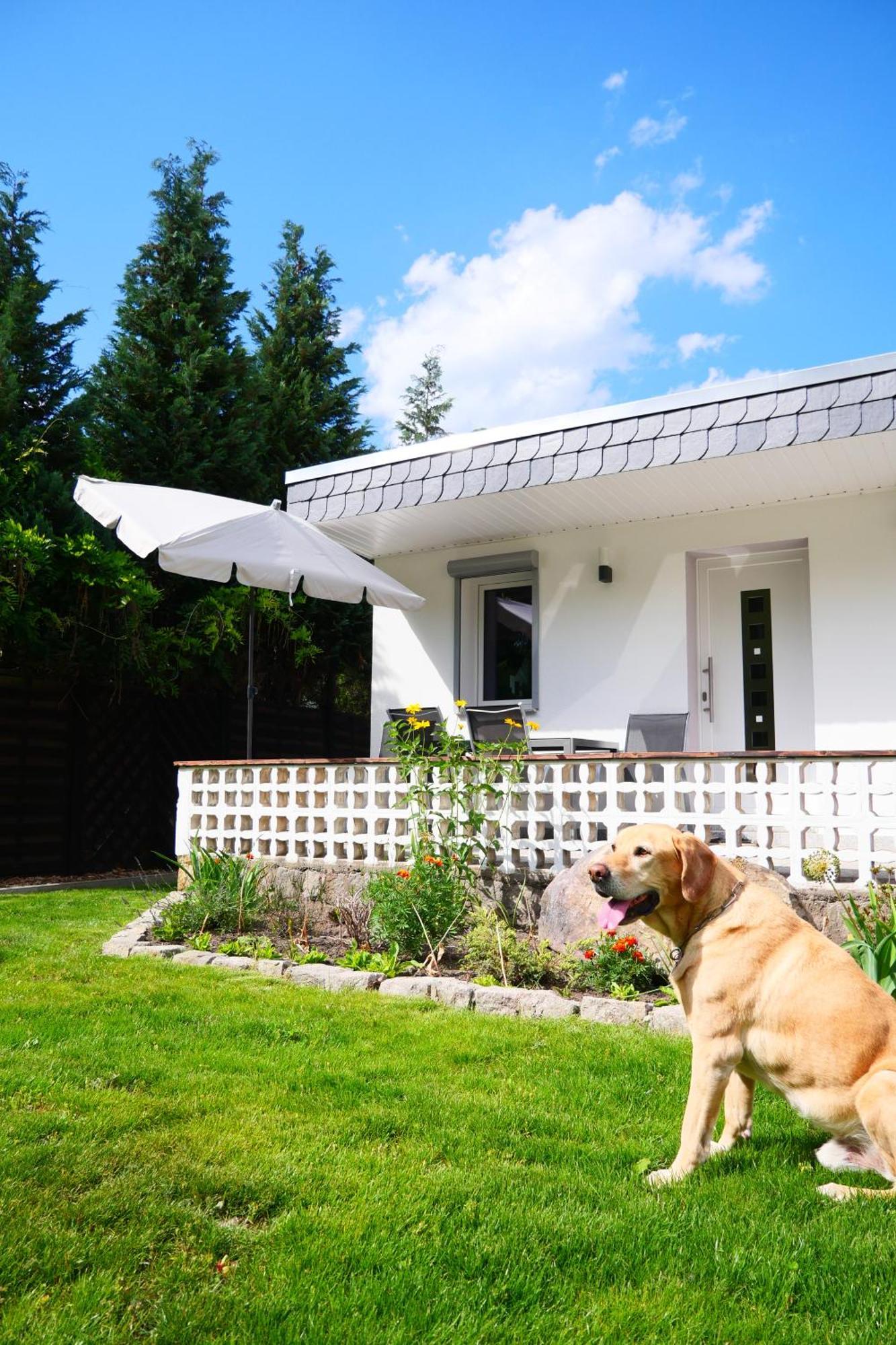 Haus Kleiner Findling Im Lausitzer Seenland Tatzschwitz Ngoại thất bức ảnh